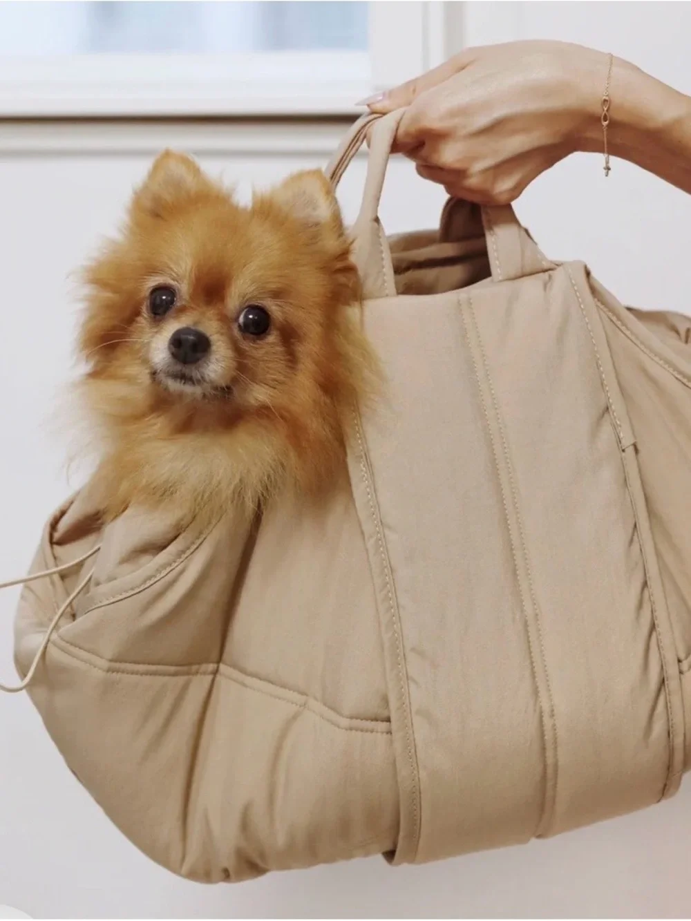 Petite Pet Carrycot in Beige